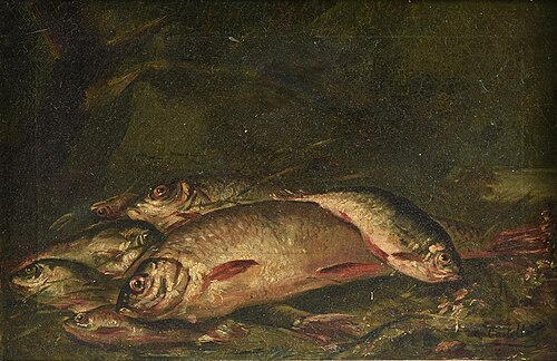 Nature Morte of Fish, , Alessandro Castelli