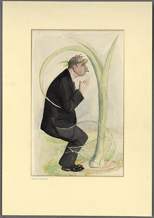 Professor T. Gwynn Jones, 1920, Howard Lloyd Roberts