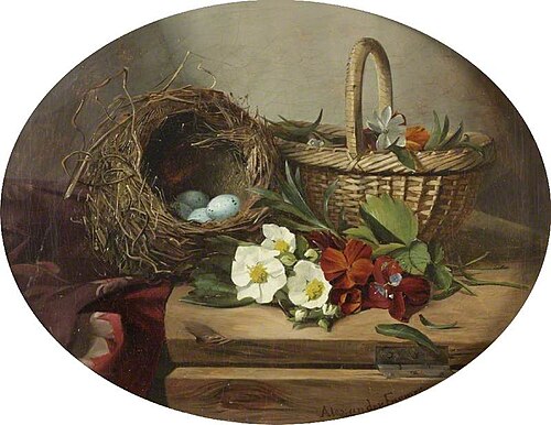 Still Life, , Alexander Farmer