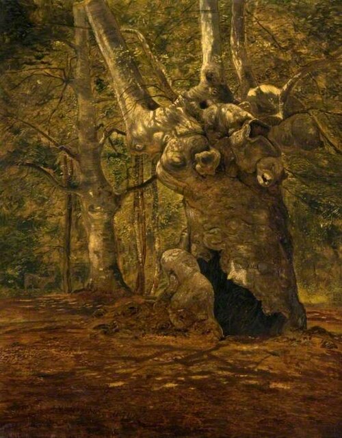 Burnham Beeches, 1874, Alexander McGlashan