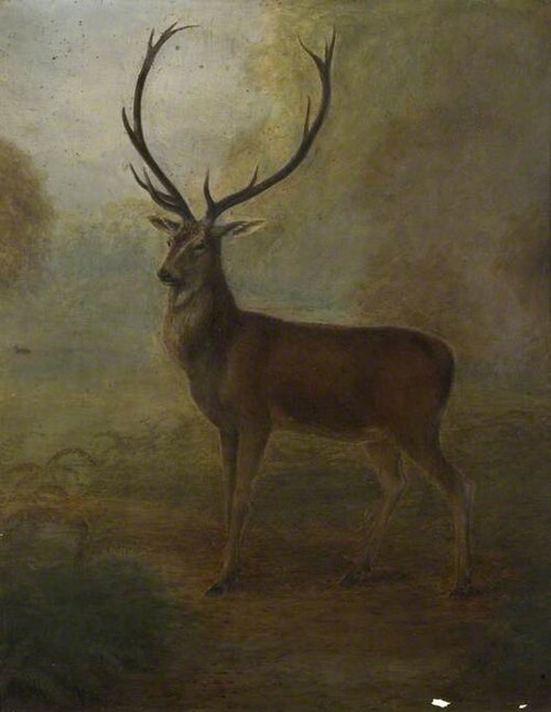 Stag, 1881, Alfred Balding
