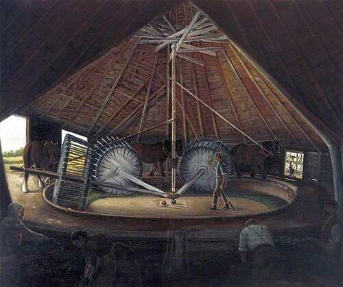 Woad Mill at Parson Drove, 1900, Alfred Balding