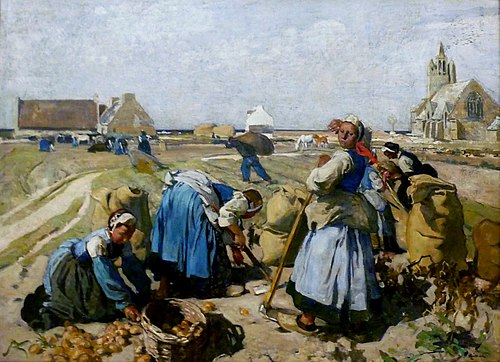La Récolte des pommes de terre, 1907, Lucien Simon
