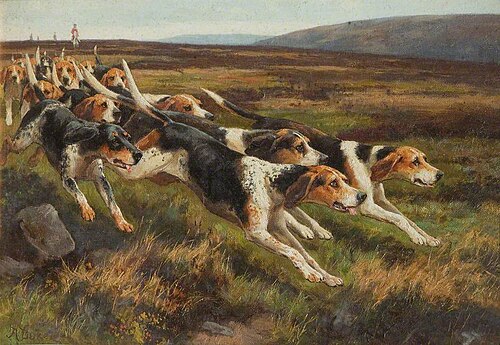 The Holcombe Harriers, , Alfred Duke