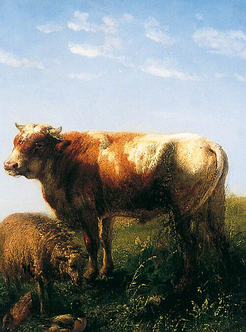 Cattle, , Idelphonse Stocquart