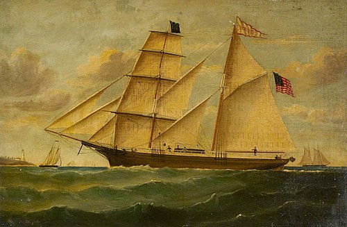 The brigantine 'William M. Rice', , D. MacFarlane
