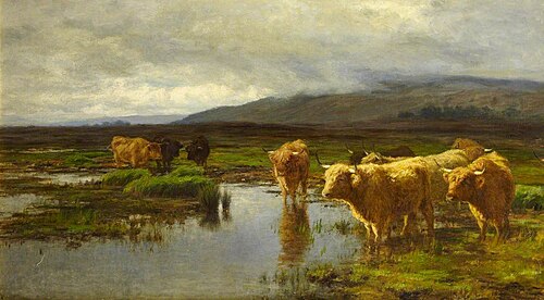 Moorland and Mist, , Duncan McLaurin
