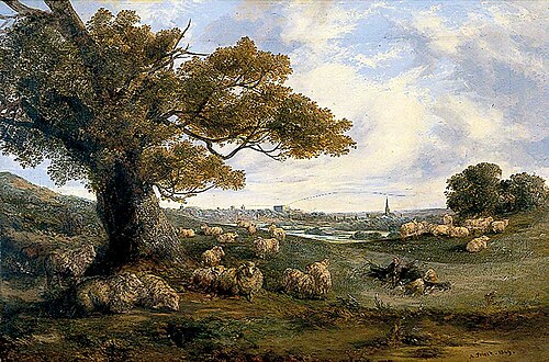 Norwich from the South-East, 1849, Alfred Priest