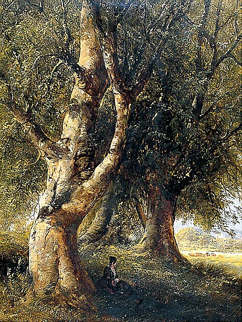 Beech Trees, Grazing Cattle to the Right, , Alfred Priest