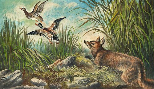 Fox and Two Ducks, 1900, Alfred Worthington