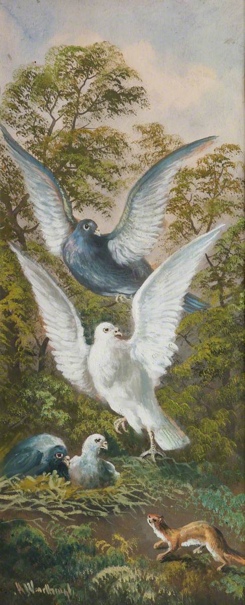 Weasel Attacking Pigeon's Nest, 1900, Alfred Worthington