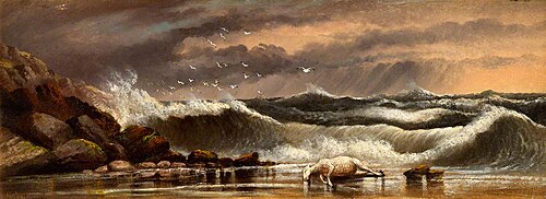 Dead Sheep on Aberystwyth Beach, 1902, Alfred Worthington