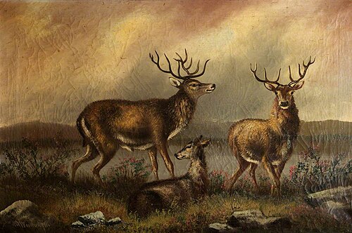 Two Stags, 1900, Alfred Worthington