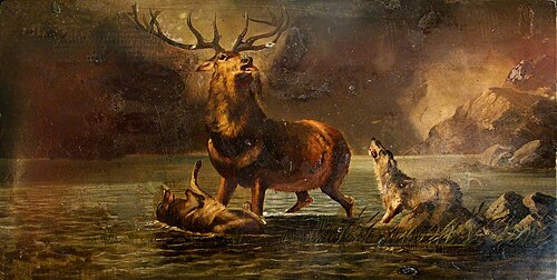 Animals, , Alfred Worthington