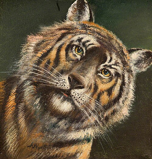 Tiger, 1900, Alfred Worthington