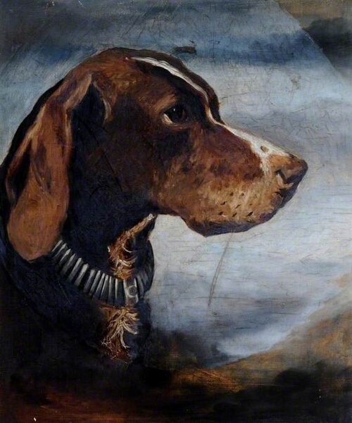 A Brown Dog with a Collar, 1875, Aline Thellusson
