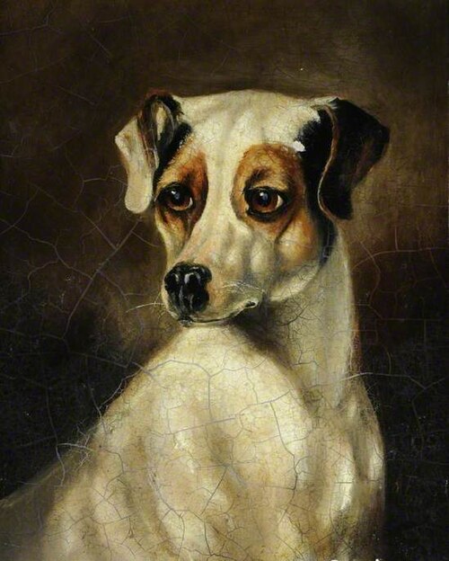White Dog with Brown Markings, 1875, Aline Thellusson