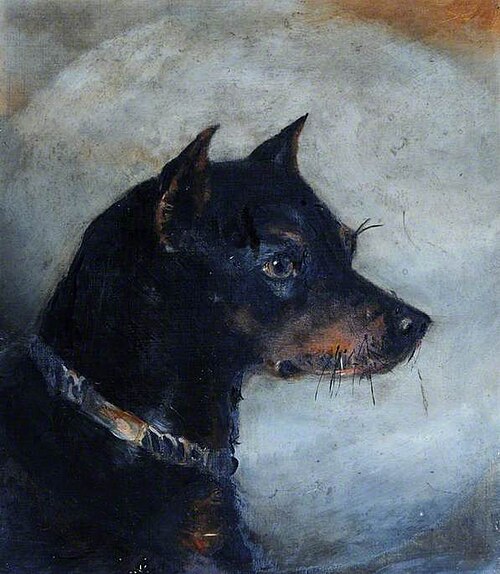 A Black Dog, 1875, Aline Thellusson