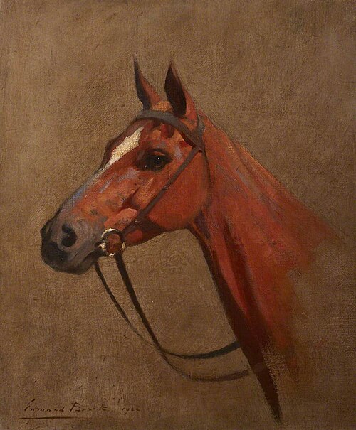Study of a Horse's Head, 1924, Edmond Brock