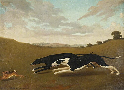 Two Greyhounds, Called ‘Deadalas’ and ‘Datchess', 1820, Edmund Ward Gill