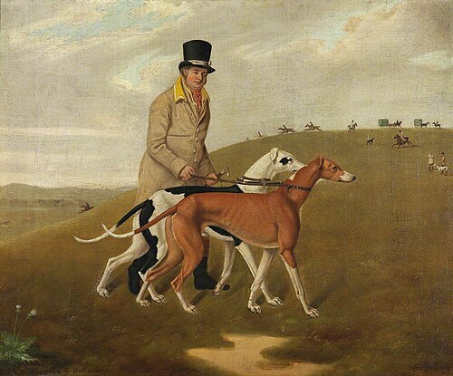 A Huntsman and Two Greyhounds, Called ‘Dorset’ and ‘Dewdrop’, 1822, Edmund Ward Gill