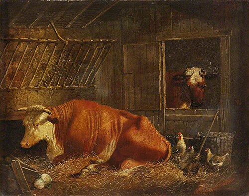 Hereford Cow, , Edmund Ward Gill