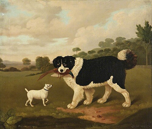 Two Dogs, Called ‘Blumer’ and ‘Venom’, , Edmund Ward Gill