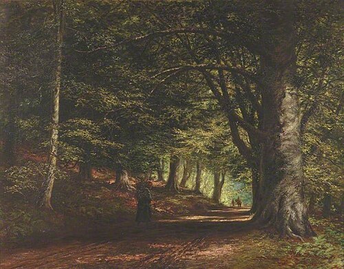 Beech Avenue, Inverary, 1876, Edward Railton Catterns