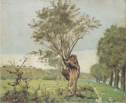 Weiden an der Jonction bei Genf., 1878, Ferdinand Hodler