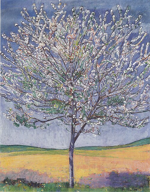 Blühender Kirschbaum, 1905, Ferdinand Hodler