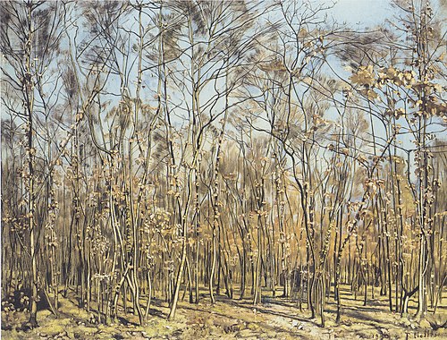 Der Buchenwald, 1885, Ferdinand Hodler