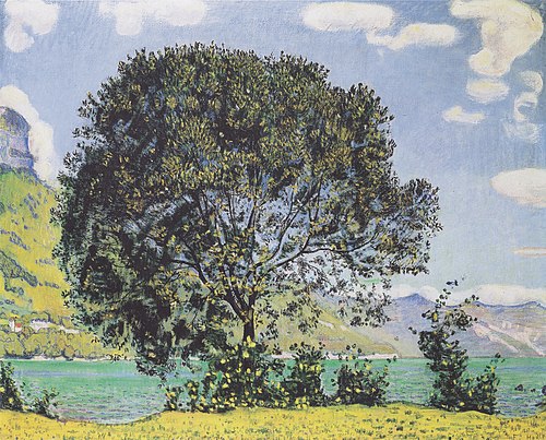 Baum am Brienzersee vom Bödeli aus, 1906, Ferdinand Hodler