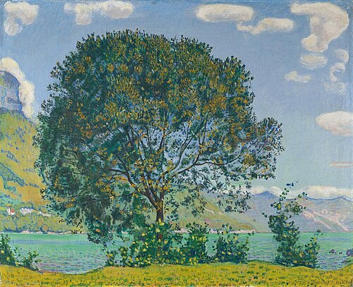 Baum am Brienzersee vom Bödeli aus, 1906, Ferdinand Hodler
