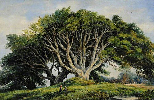 Beech Trees, Foulon Cemetery, Guernsey, 1867, Sarah Louisa Kilpack