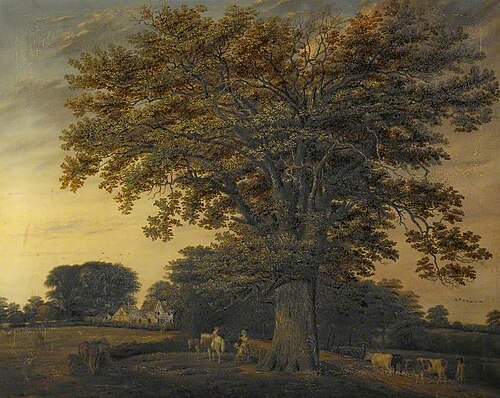 The Binley Oak, 1848, Edwin Brown