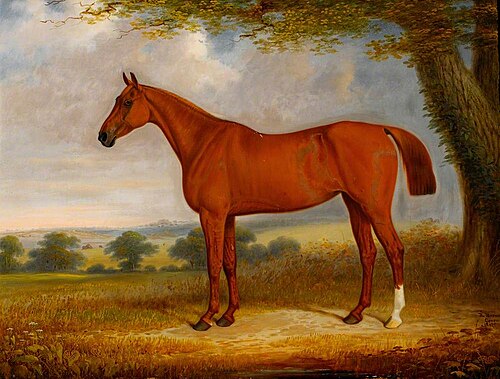 A Chestnut Hunter in a Landscape, 1867, Edwin Brown