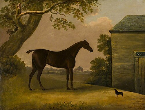 Bay Hunter and a Terrier outside a Stable, 1805, Edwin Cooper