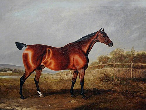 A Bay Hunter in a Landscape, 1827, Edwin Cooper