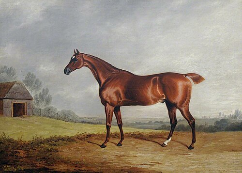 A Chestnut Hunter in a Field, 1827, Edwin Cooper
