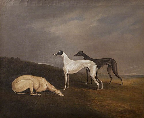 Three Greyhounds in a Landscape, 1800, Edwin Cooper