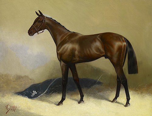 Persimmon, 1897, Edwin Douglas