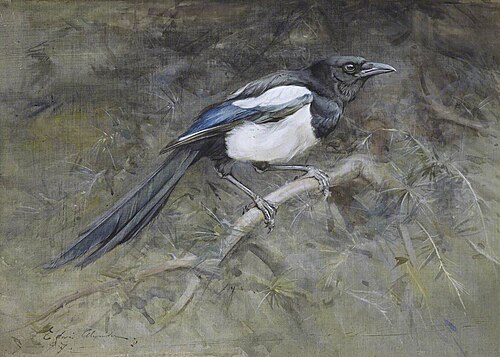 The Magpie, 1897, Edwin John Alexander
