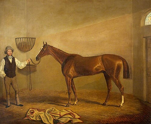 'Bravissimo', Winner of the Monmouthshire Hunt Cup at Abergavenny, , James Flewitt Mullock