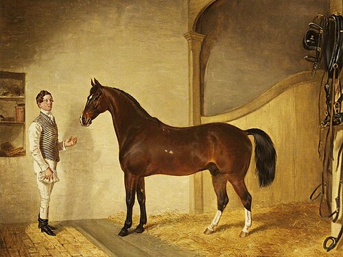 Groom with Hunter in the Stables, 1851, James Flewitt Mullock