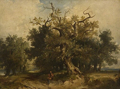 Wooded Landscape, 1847, James Hall Cranstoun
