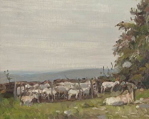 Sheep Shearing, , James Hargreaves Morton