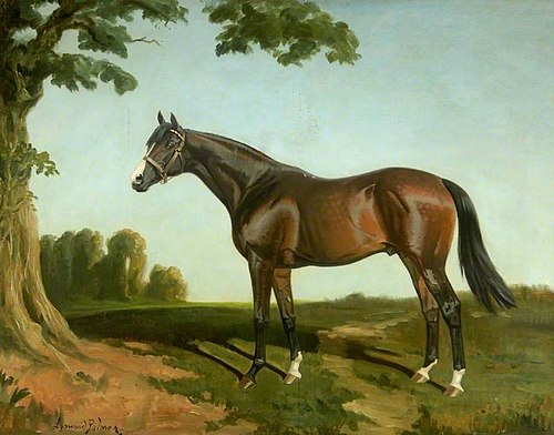 'Royal Lancer', Winner of 1922 St Leger Stakes, 1922, James Lynwood Palmer