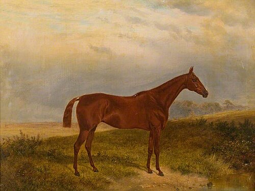 'Mountain Dew', 1873, James Walsham Baldock