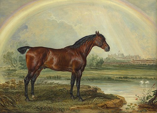 Nonpareil, 1824, James Ward