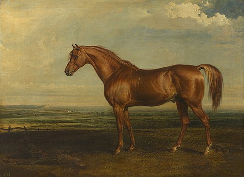 Soothsayer, 1821, James Ward